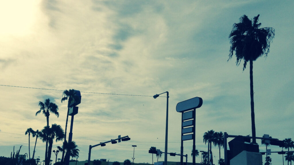 A cloud-streaked twilight sky dotted with tall palm trees and highway signs marking a commercial strip.