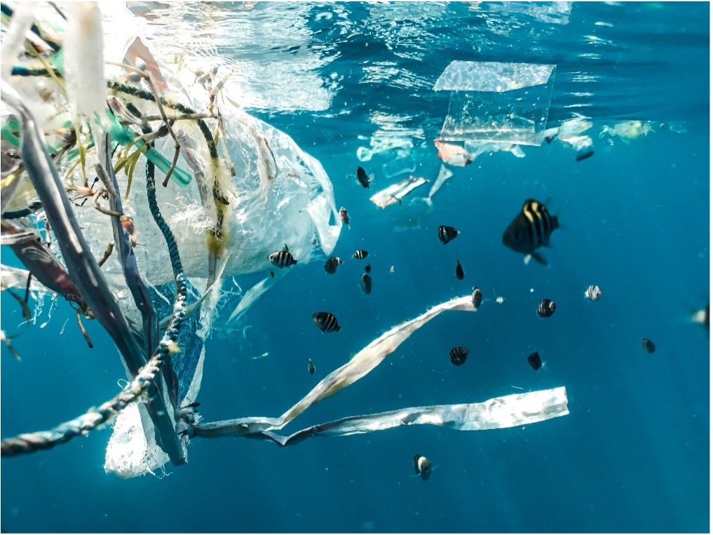 Image of fishes swimming amongst a knot of plastic waste comprised of shredded thin plastic bags, pieces of rope, and twist ties.