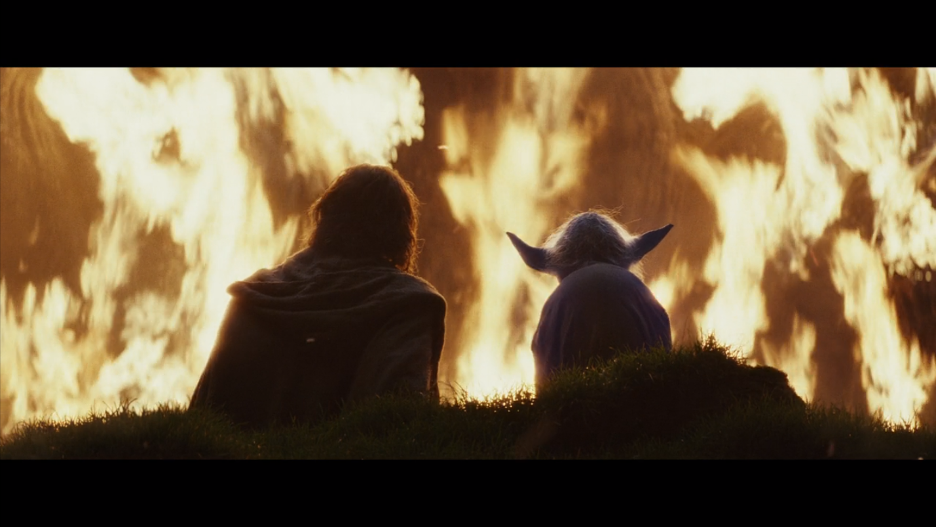 Luke Skywalker and Yoda facing away from the camera looking at a fire.